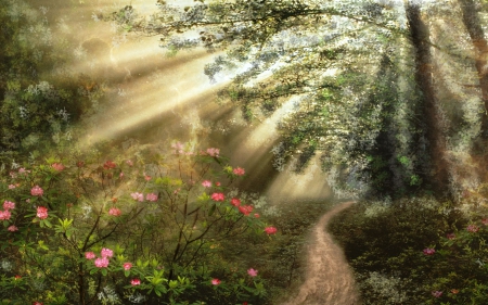 Magical forest - nature, sunshine, forest, flowers, path