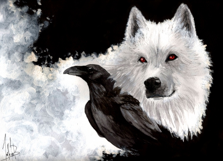 Wolves vs Crows - abstract, Glance, Crows, wolf, majestic, canine, friendship, grey wolf, nature, Wolves, arctic