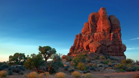 awesome desert rocks - desert, trees, rocks, red