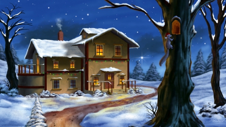 Decorated for Christmas - snow, winter, Christmas, home