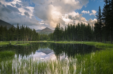 *** Lake and forest *** - lake, forest, nature, sky