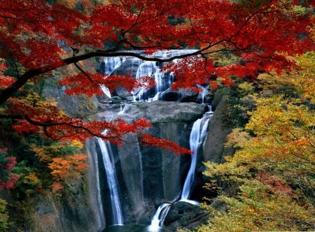 Waterfall in Autumn - river, Autumn, Waterfall, rock, forest