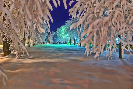 *** Amazing winter *** - trees, winter, nature, snow, park