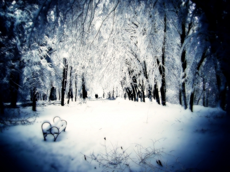 Snow - snow, winter, tree, park