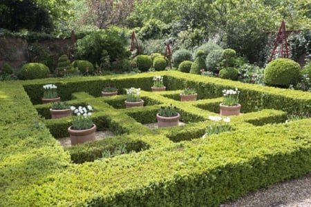 Garden - flowers, jars, nature, Garden, grass