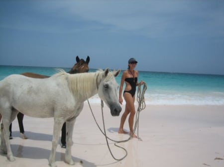 On The Beach - animal, horse, horses, beach