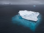 penguins hitching a ride on an iceberg