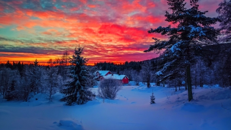 Winter cottages - pretty, winter, beautiful, frost, amazing, cabin, cottages, sky, houses, nice, lovely, sunset, nature, snow, cold