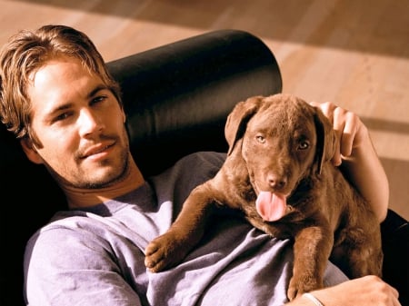 Paul Walker - handsome, puppy, dog, man, actor, animal, cute, paul walker