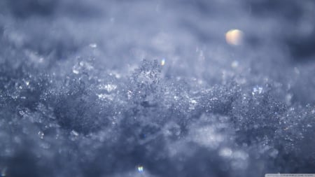 •Snow• - abstract, winter, photography, crystals, snow, HD, ice, nature, macro, wallpaper