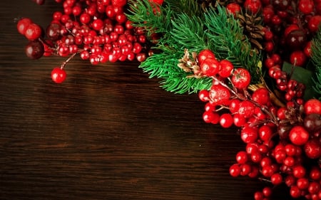 Merry Christmas! - christmas, red, green, wood, fir, berry, tree