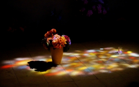 Vase of Flowers - beauty, multicolors, flowers, vase, lights