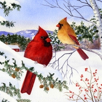 â˜…Cardinals & Hemlock Treesâ˜…