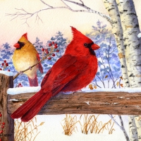 â˜…Cardinal Pair with Birchâ˜…