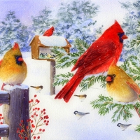 â˜…Cardinals in Snow Flurryâ˜…