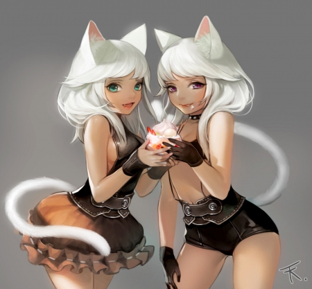 Neko Girls Twins - pretty, anime, female, dress, tail, long hair, cat ears, art, ladies, women, beautiful, grey lovely, nelo, beauty, lovely, sweet, girls, black, white, cute, shorts