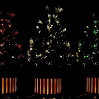 Trio of Christmas Trees in the Night