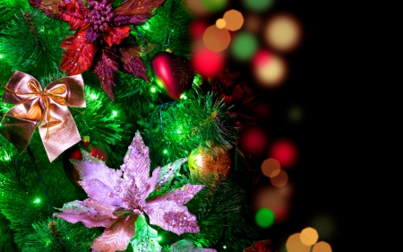 Merry Christmas! - red, purple, lights, pink, tree, christmas, green