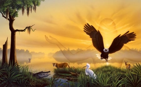 Majestic Eagle - birds, bald eagle, sunset, artwork, landscape