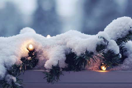 Winter Time - Season, Winter, Decoration, Snow