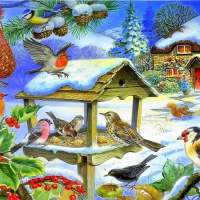 â˜…Happy House of Birdsâ˜…