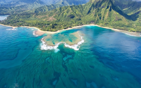 Ocean - tree, ocean, nature, water