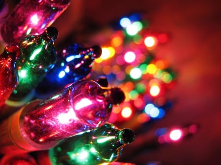 Christmas Lights - bright, pretty, decorations, colorful, christmas