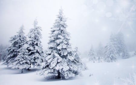 Winter - trees, winter, snowy, splendor, snow, landscape, winter tie, winter splendor, nature, mountains