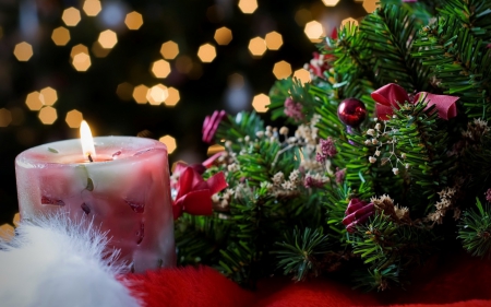 Merry Christmas! - candle, christmas, fir, yellow, pink, red, green, tree, lights