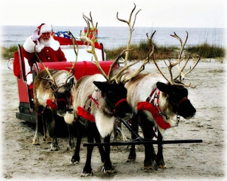 Merry Christmas - winter, reindeers, merry christmas, santa claus