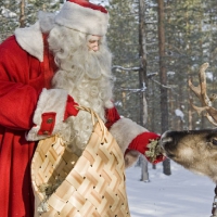 Santa Claus And Reindeer