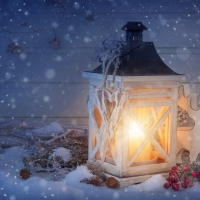 â™¯Lanternâ™¯