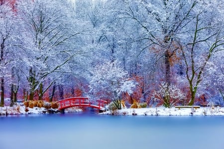 Winter - sky, trees, photography, sun, wonderful, cold, tree, ice, snowflake, winter, snowflakes, lovely, nature, snow, beautiful, splendor, photo