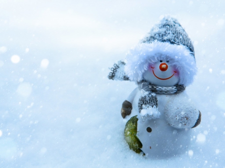 SMILE (: - winter, smile, snowman, christmas, snow, new year