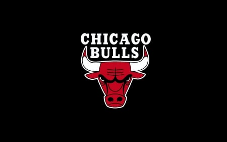 The Chicago Bulls - bulls, nba, the chicago bulls, chicago