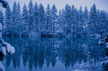 *** Blue Winter *** - lake, winter, trees, nature, blue