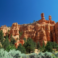 beautiful red canyon in utah