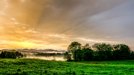 fog over fields at sunrise hdr - fields, rays, trees, hdr, sunrise, grass