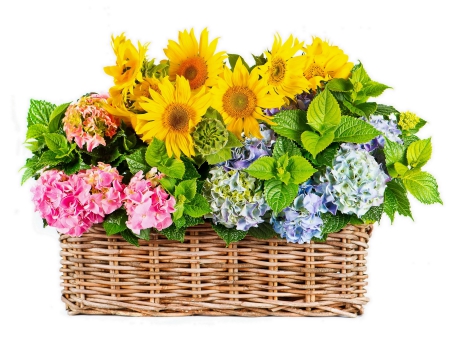 *** Basket of flowers *** - nature, sunflowers, basket, flowers