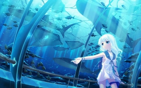 ❀~Ʋи∂ɛяωαтɛя Ѧɛℓσ∂ʏ~❀ - Cute, Sweet, White Hair, Aquarium, Lovely, Blue Clothes, Anime, Fish, Sharks, Blue Bracelets, Amazing, Underground Melody, Underground, Blue Ribbon, White frock, Beautiful, Fishes, Blue Eyes, Fair Skin, Blue, Girl, Hinasaki, Melody, Short Hair, Underwater, Whales