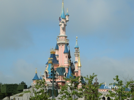 DISNEYLAND - disneyland, princess, pink, castle