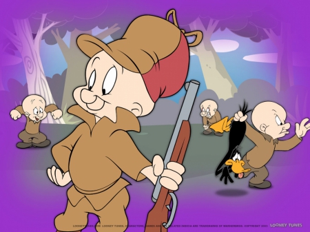 Elmer-Fudd - cartoon, looney, tunes, Fudd, Elmer