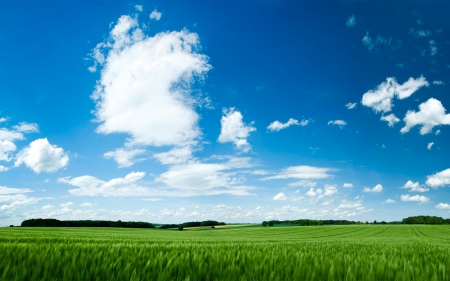 Nature - field, grass, Nature, sky