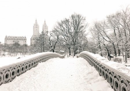 Winter - new york, trees, winter, winter plendor, nature, view, winter time, snow, splendor, snowy, bridge