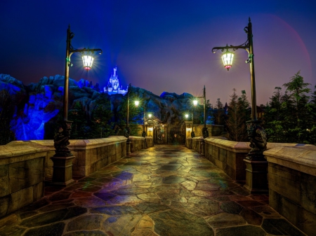 Disneyland Magic Kingdom - Magic Kingdom, night lights, Disneyland, United States, Orlando, castle, Florida