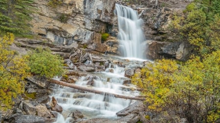 beautiful waterfall over rock steps - trees, waterfall, log, cliff, steps, rocks