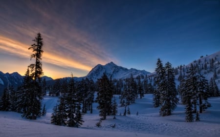 Winter Landscape - sky, trees, clouds, snow, sunrays, mountains