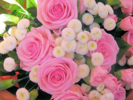 Flowers For All My DN Friends!!! - nature, roses, pink, petals, beautiful, flowers, bouquet