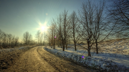 dirt road in winter under sun rays - sun rays, trees, winter, road, dirt