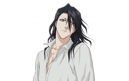 Byakuya Kuchiki - handsome, kuchiki clan leader, anime, manga, captain of the 6th squad